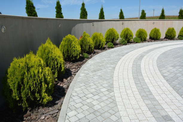 Best Driveway Pavers Near Me  in Rocky Mount, VA